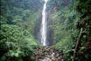 The highest Waterfall is about a 2 hours Hike away