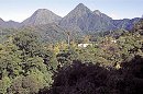Mount Pelee