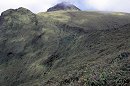 Mount Pelee
