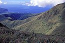 Mount Pelee
