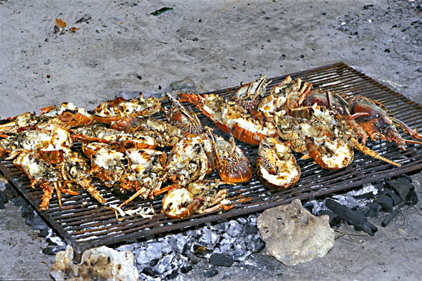 Lobster Barbecue