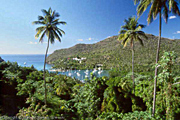Marigot Bay at the West Coast of St. Lucia