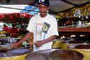 Steel Pan Musican